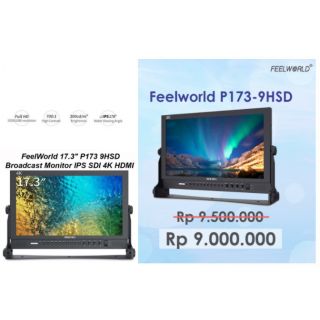 FeelWorld 17.3 INCH P173 9HSD Broadcast Monitor IPS SDI 4K HDMI